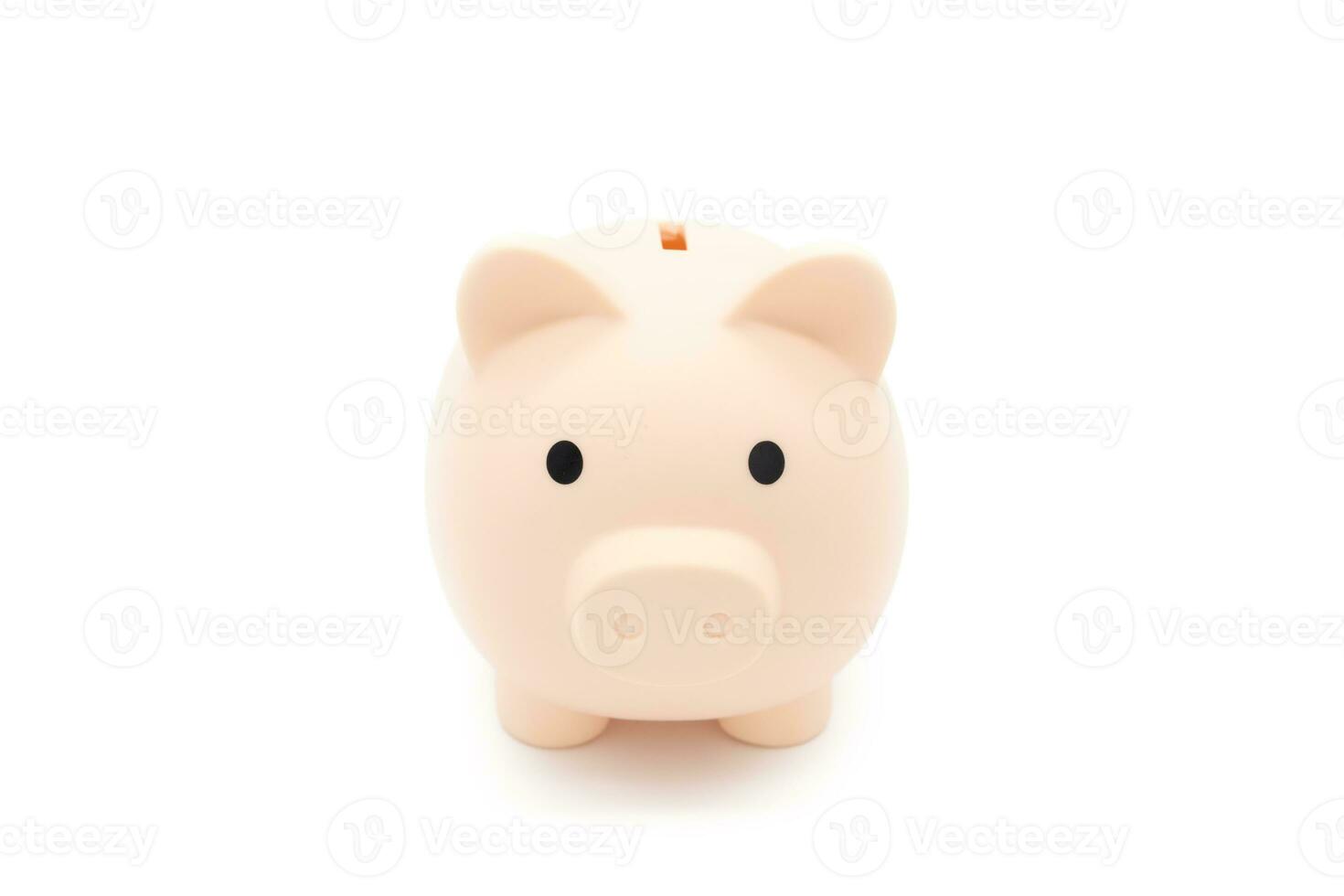 Piggy bank isolated on white background. Saving pig, small money box, planning home finances concept. photo