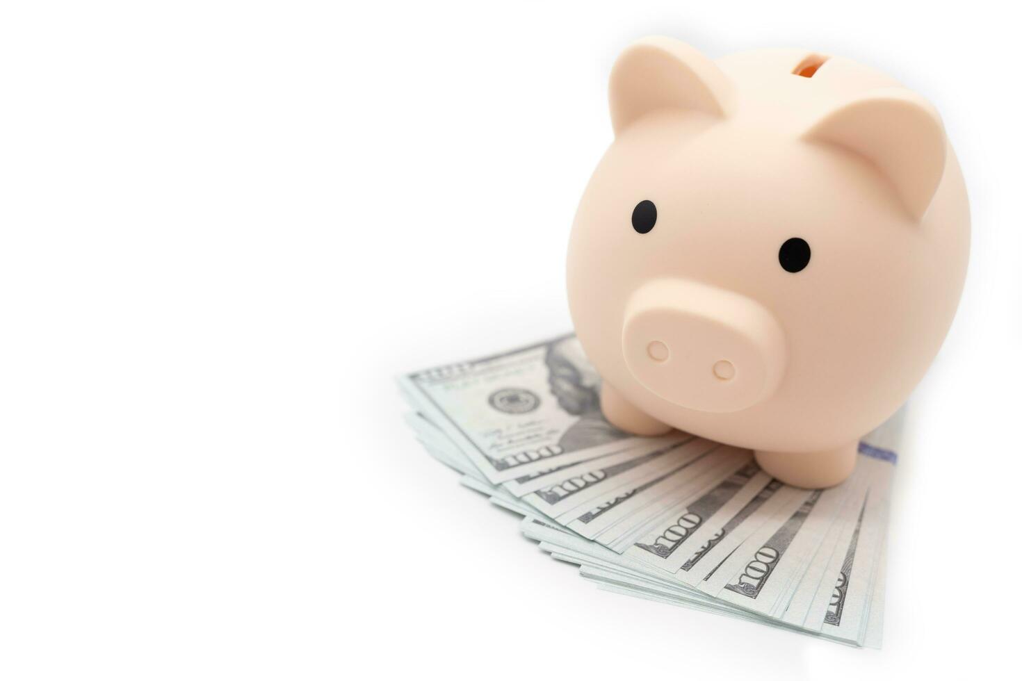 Piggy bank on dollars. business, finance, investment, saving and corruption concept. photo