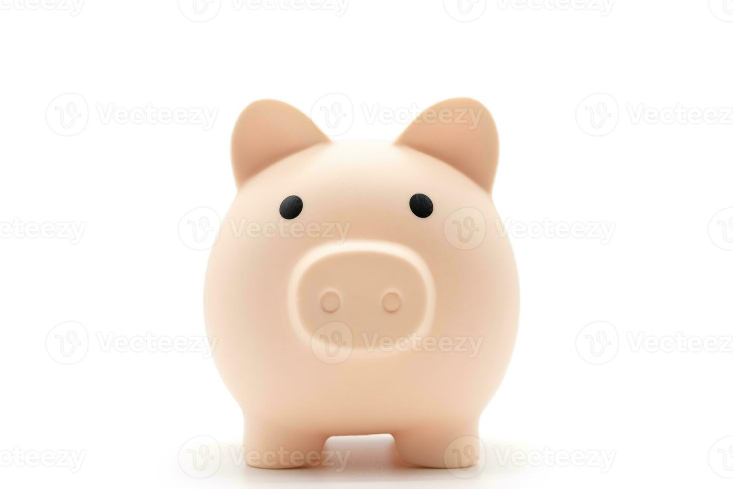 Piggy bank isolated on white background. Saving pig, small money box, planning home finances concept. photo