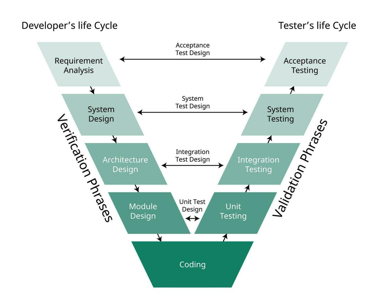 the validation and verification software development process model for the V shape model vector
