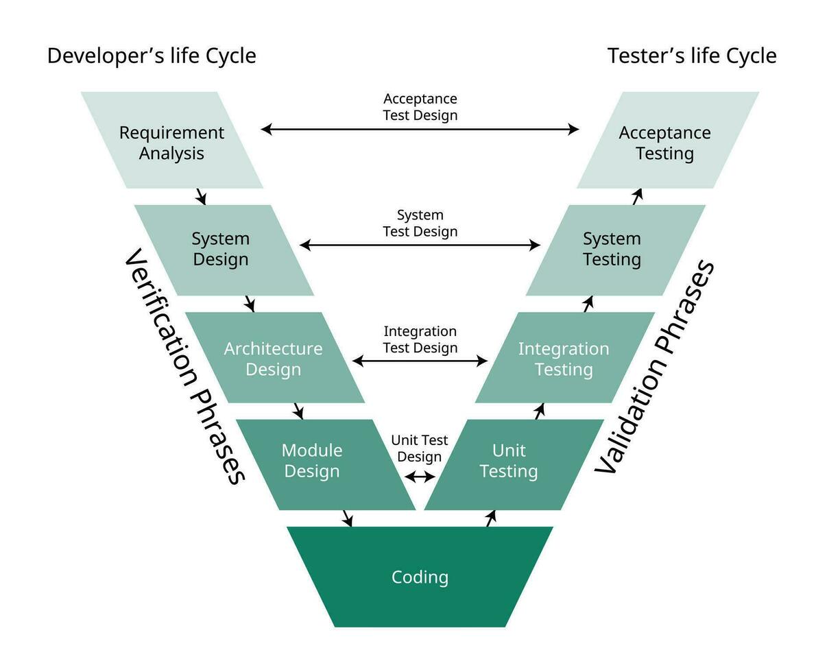 el validación y verificación software desarrollo proceso modelo para el v forma modelo vector