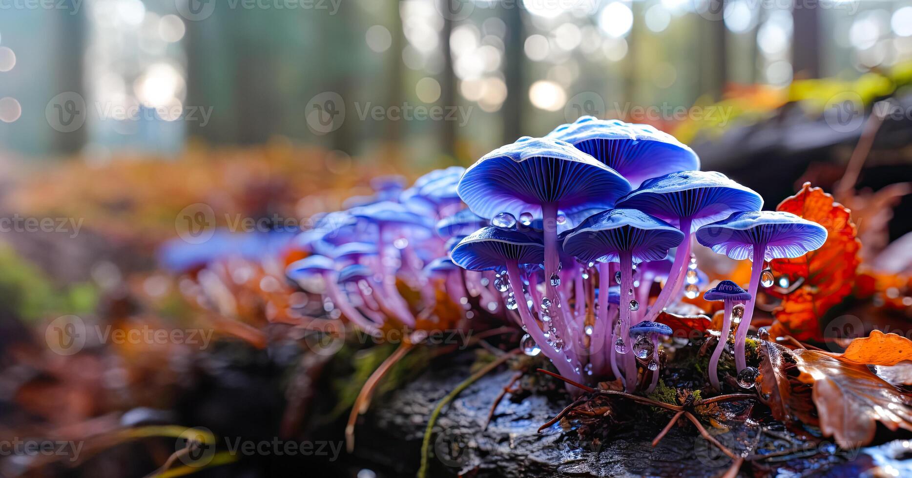 Magic blue mushrooms growing forest, surreal drawing. Psilocybe semilanceata mushrooms AI Generated photo