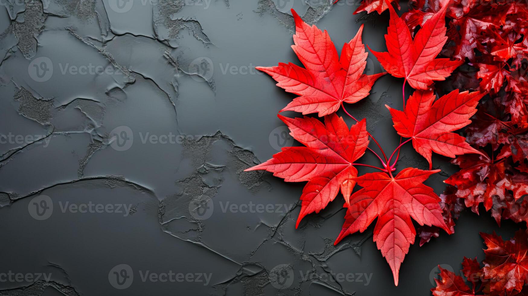 Red maple leaves on rough black background, ideas for an autumn banner with copy space. AI generated photo