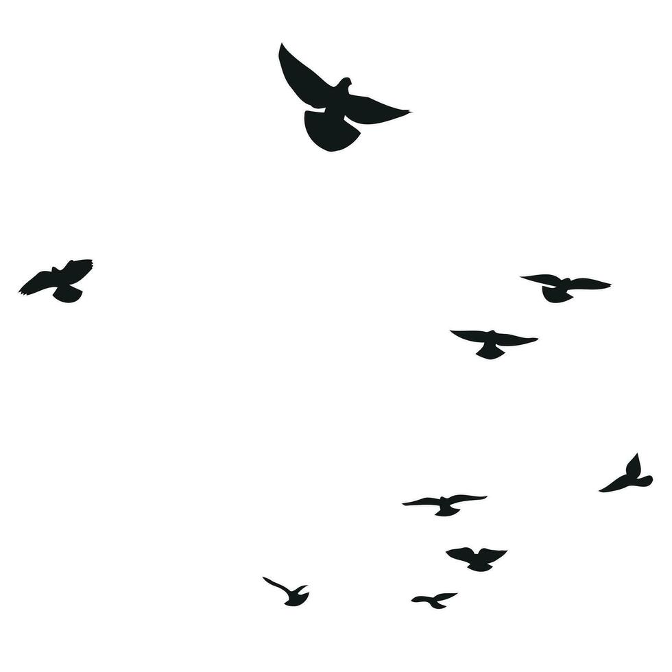 Silhouette sketch of a flock of flying birds, flight in different positions. Hover, soaring, landing, flying, flutter vector