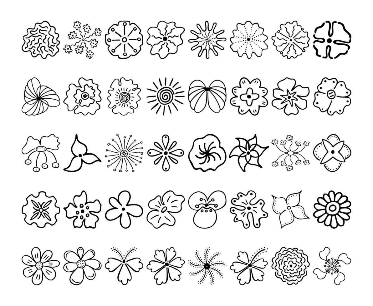 incompleto lineal imagen de siluetas de flores mano dibujado dibujo de planta brotes durante floración vector