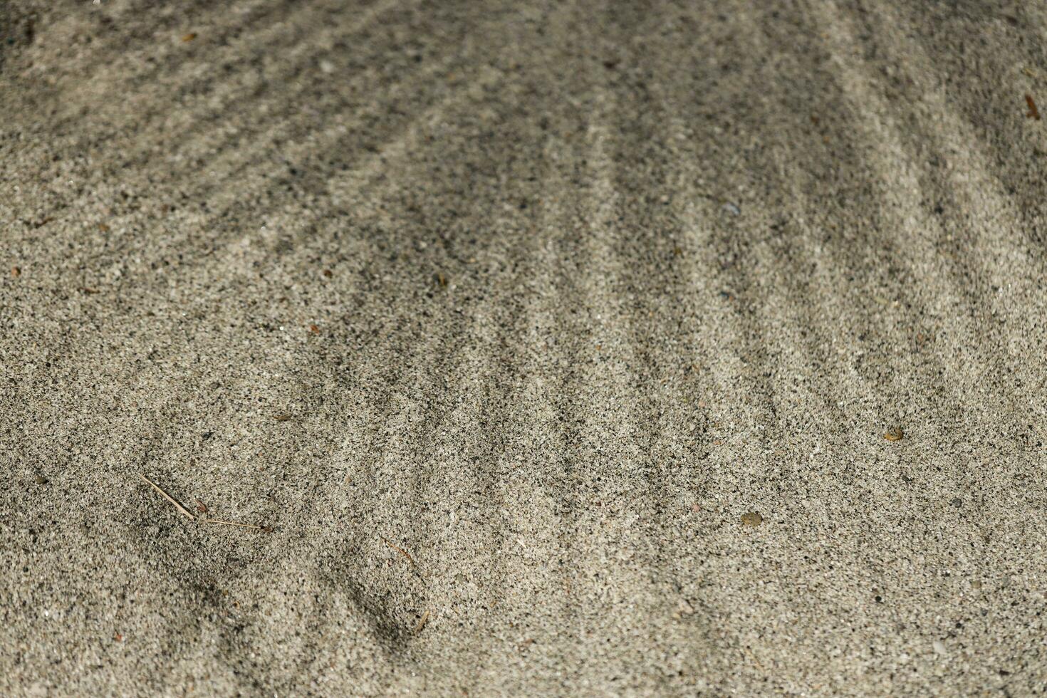 Sand texture background with palm leaf shadow photo