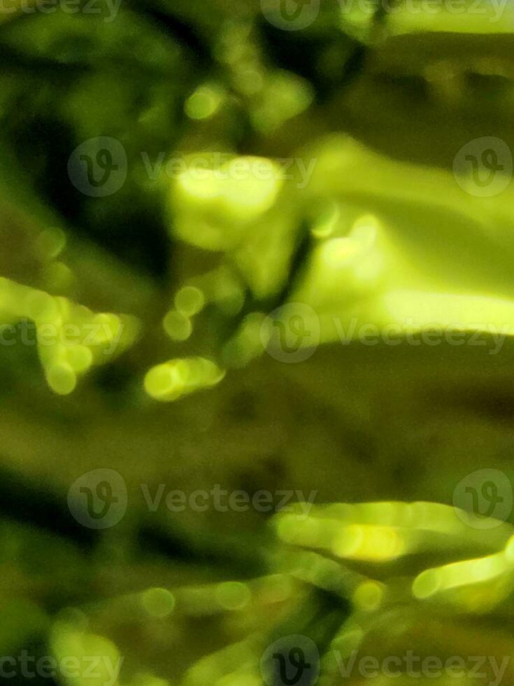 Blurred green background. Green spotted background for business cards and websites. Defocused photo