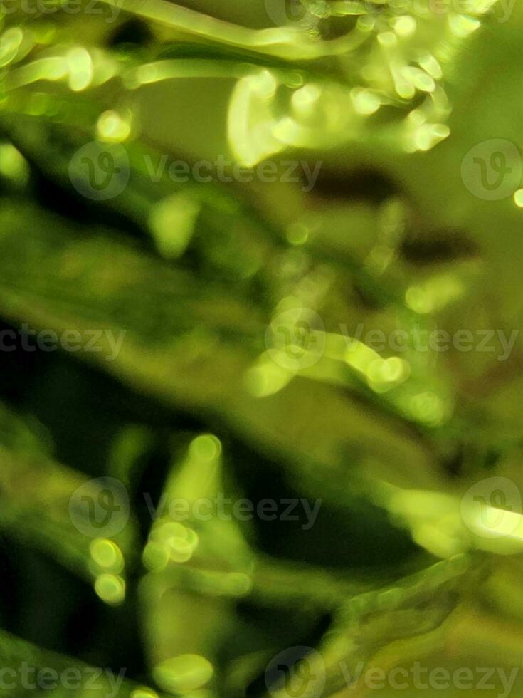 Blurred green background. Green spotted background for business cards and websites. Defocused photo