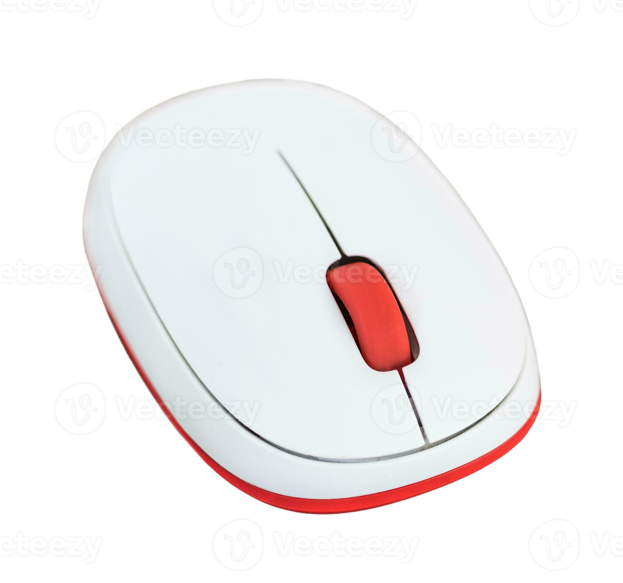 Computer wireless mouse front view clipping path, isolated on white or