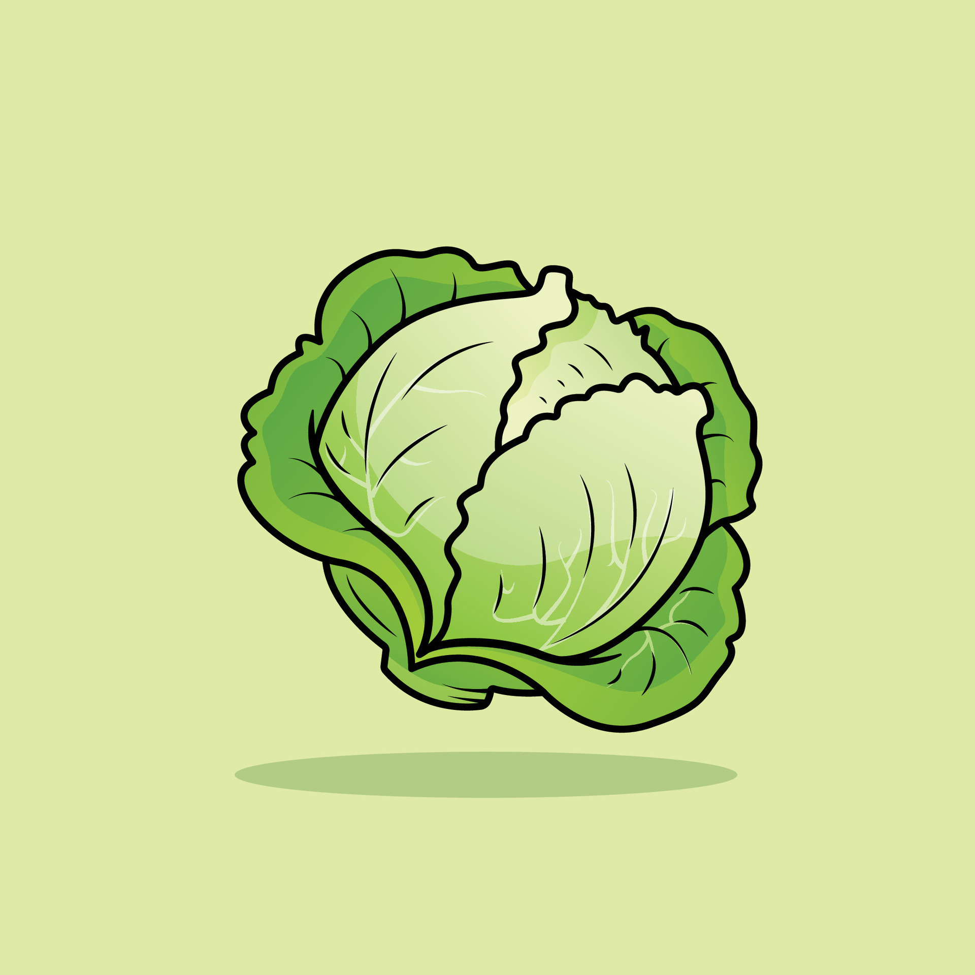 The Illustration of Cabbage 26320279 Vector Art at Vecteezy