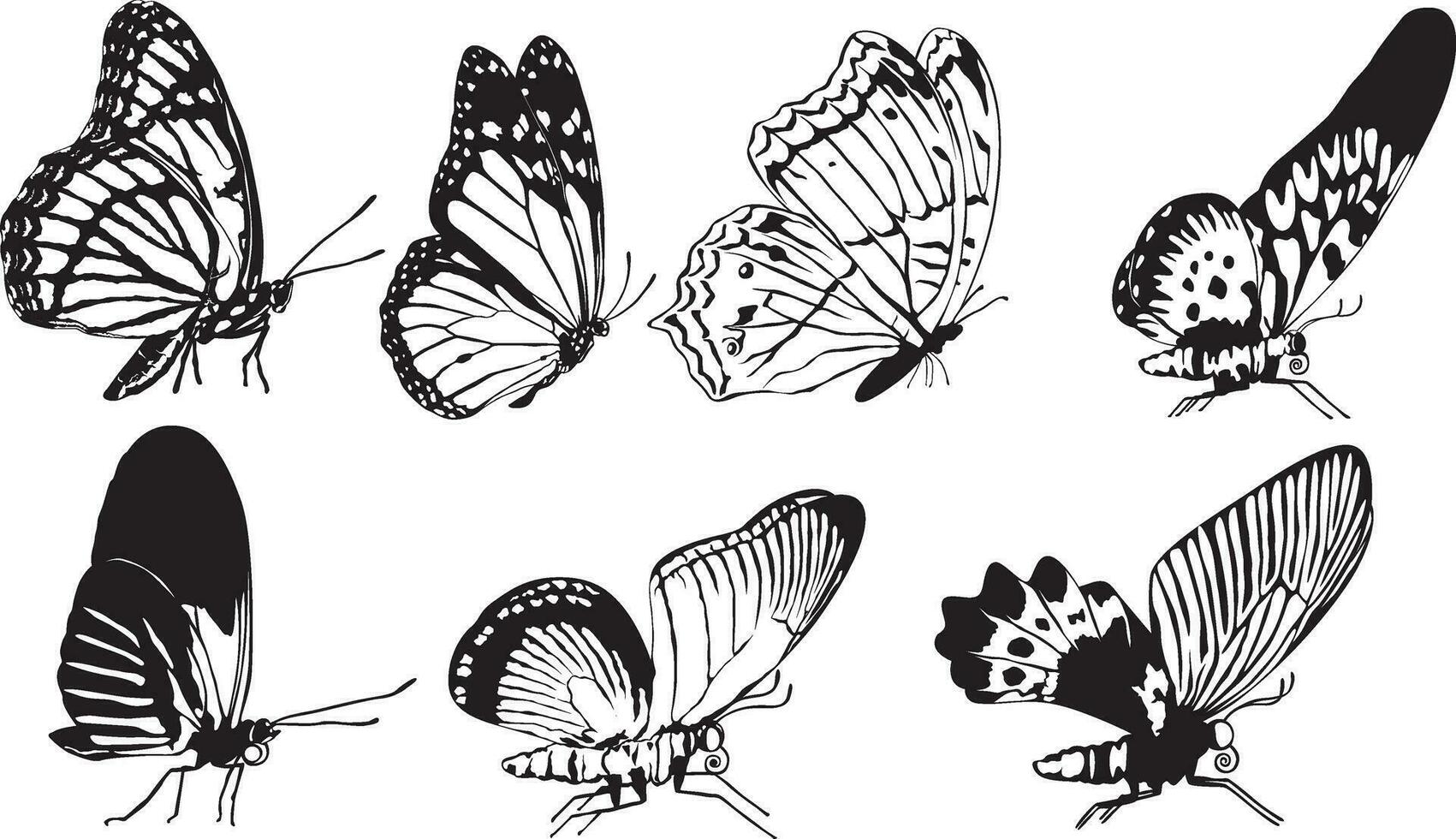 Butterflies Vector Set 3