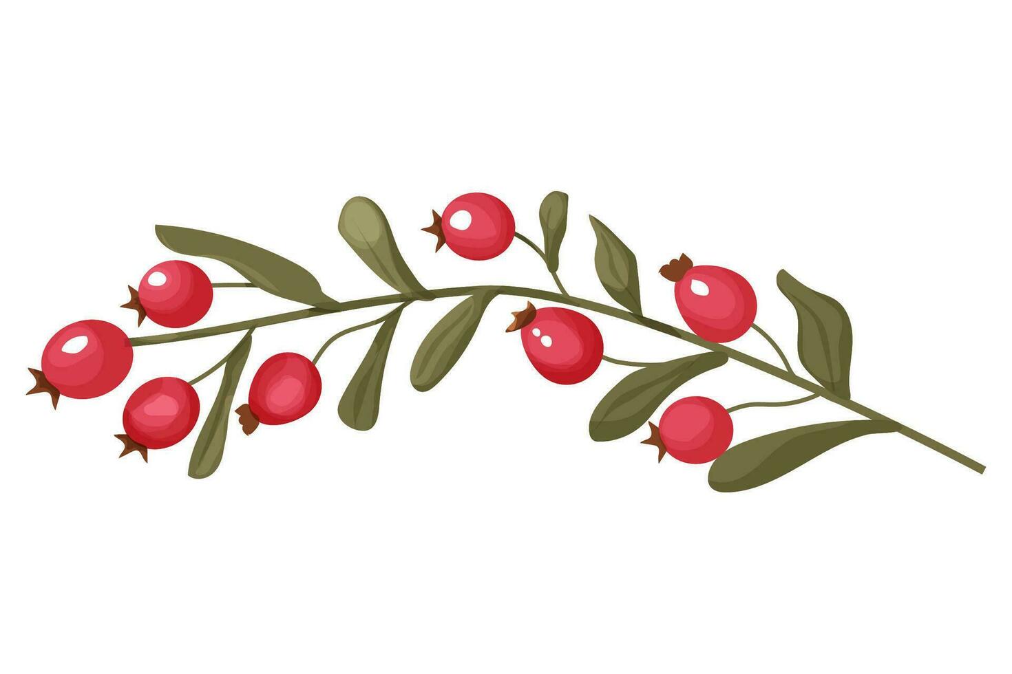 Rose hip forest berries on branch red and raw in cartoon style autumn decoration isolated on white background. Fall cozy element. Vector illustration