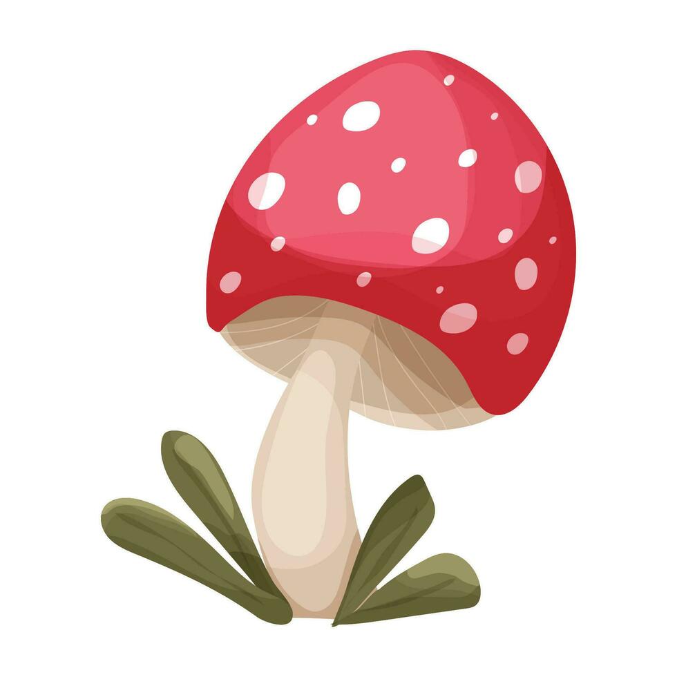 Fly agaric mushroom with red spotted cap, grass forest poisonous plant in cartoon style isolated on white background. Vector illustration