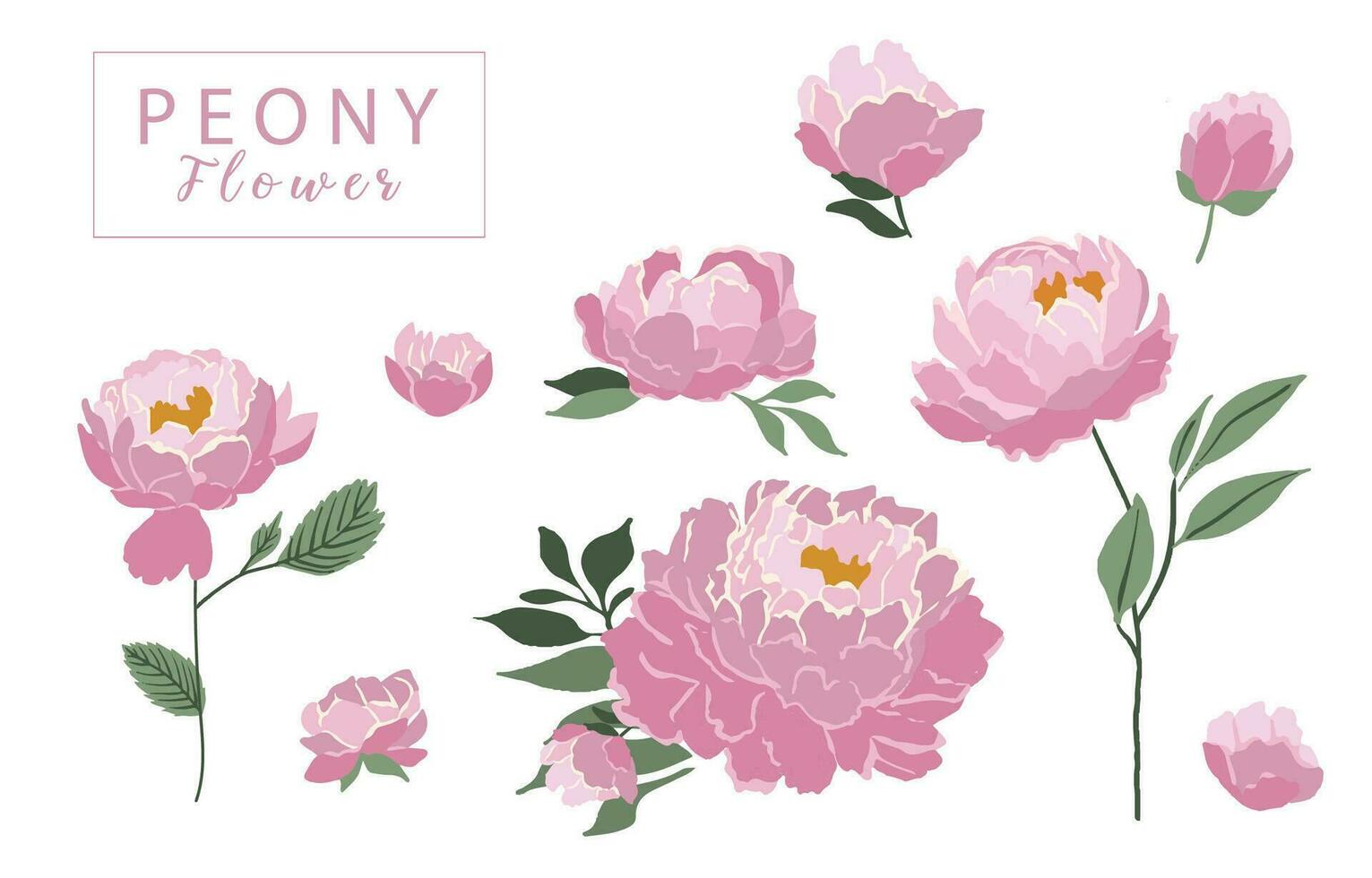 flower collection with pink peony element.Vector illustration for icon,sticker,printable vector