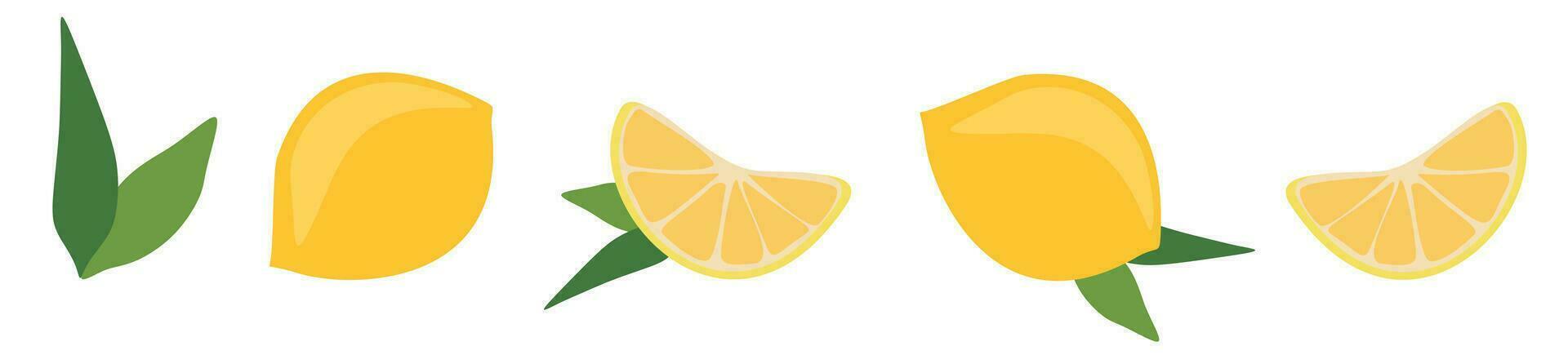 Fresh lemon set. Vector flat style illustration. Bright collection of colorful juicy lemons isolated on white. Citrus icon of whole fruit and slice with leaves. Design element for package, print, logo