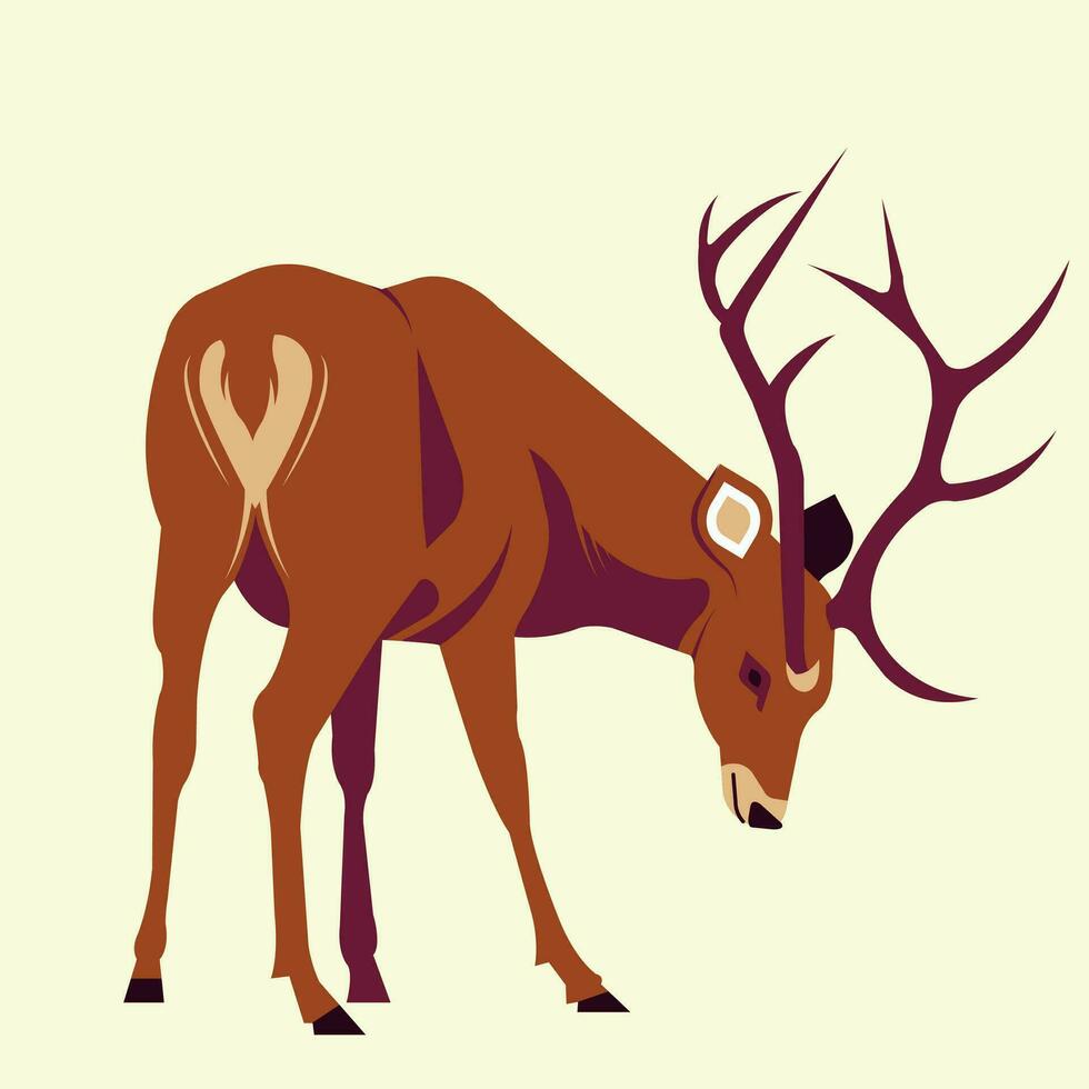illustrations of animals deers in the world for children's education vector