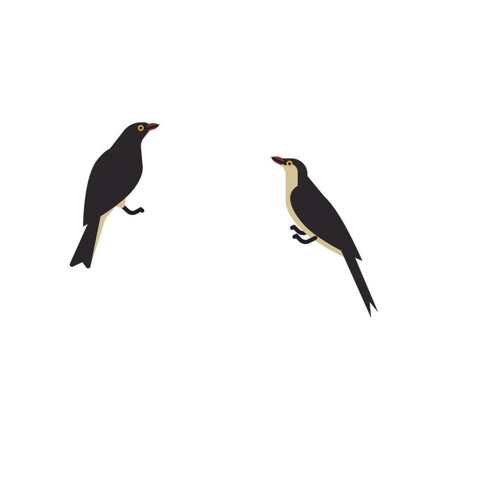 animals in the world vector