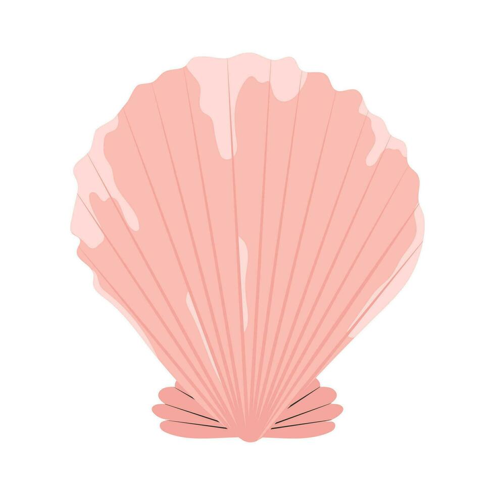Sea shell, clam. Marine undersea mollusc. Scallop mollusk icon. Ocean underwater seashell. Exotic beach fan-shaped clamshell. Nautical shellfish. Flat vector illustration isolated on white background