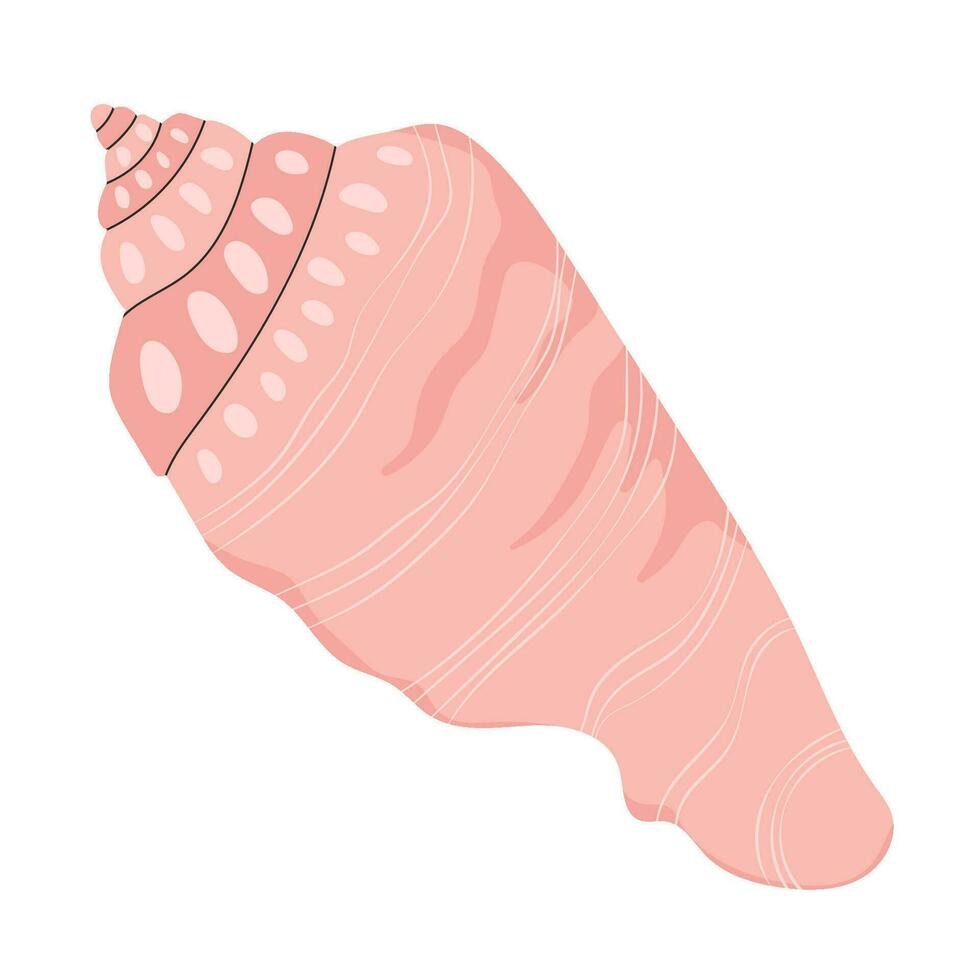 Marine seashell. Beach mollusc, sea shell. Underwater undersea shellfish with stripes and spots pattern. Under water conch, mollusk. Flat vector illustration isolated on white background