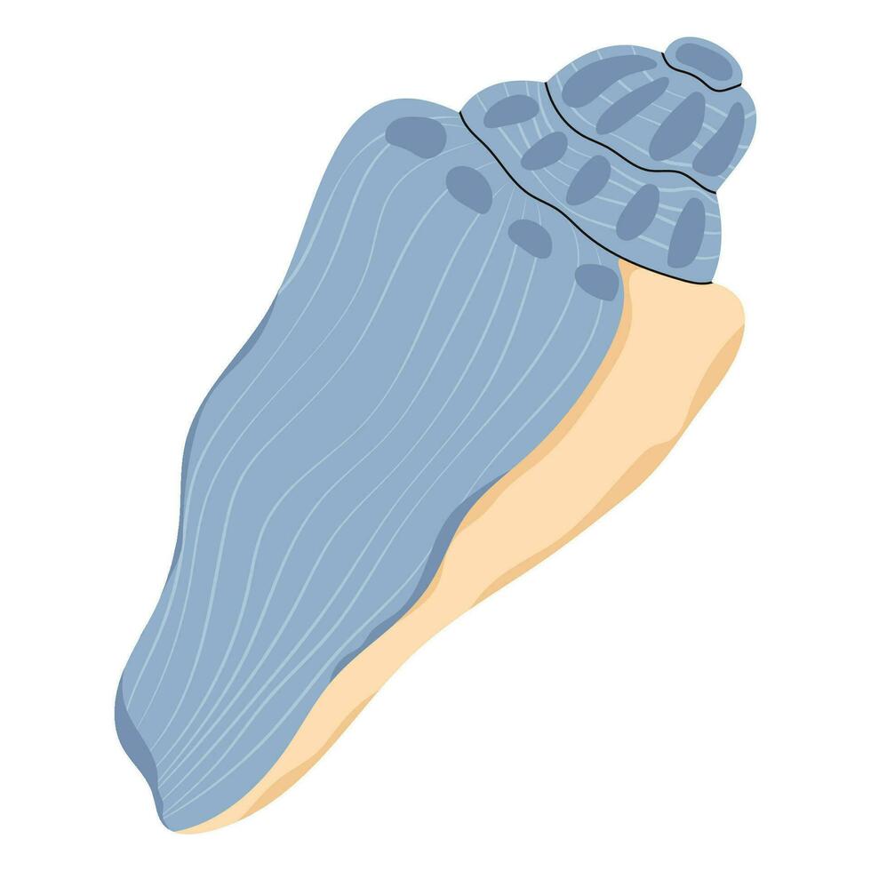 Snail seashell. Marine underwater swirled sea shell. Undersea mollusc. Spital twisted mollusk. Nautical under water conch. Twirled clam. Flat vector illustration isolated on white background