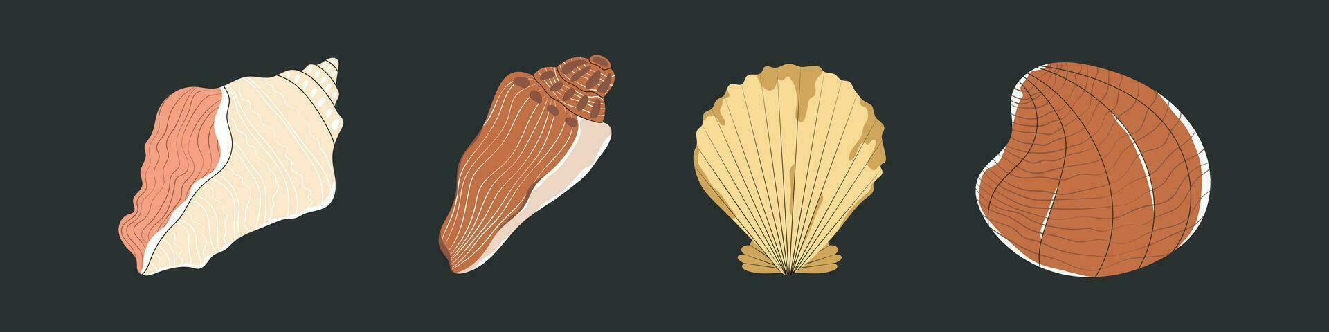 mar conchas, estrellas de mar colocar. submarino molusco animales marina moluscos conchas marinas, vieiras, caracoles, conchas de berberechos, mejillones y conchas vector ilustración de mariscos aislado en oscuro fondo