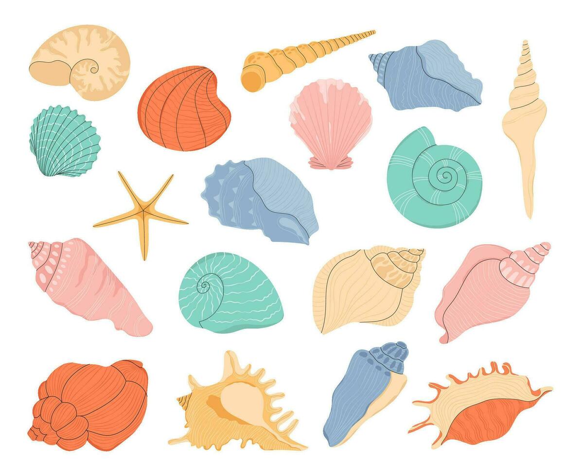 Tropical seashell. Cartoon clam, oyster and scallop shells. Colorful underwater conches of mollusk and sea snail. Ocean shellfish vector set isolated on white. Colorful undersea elements