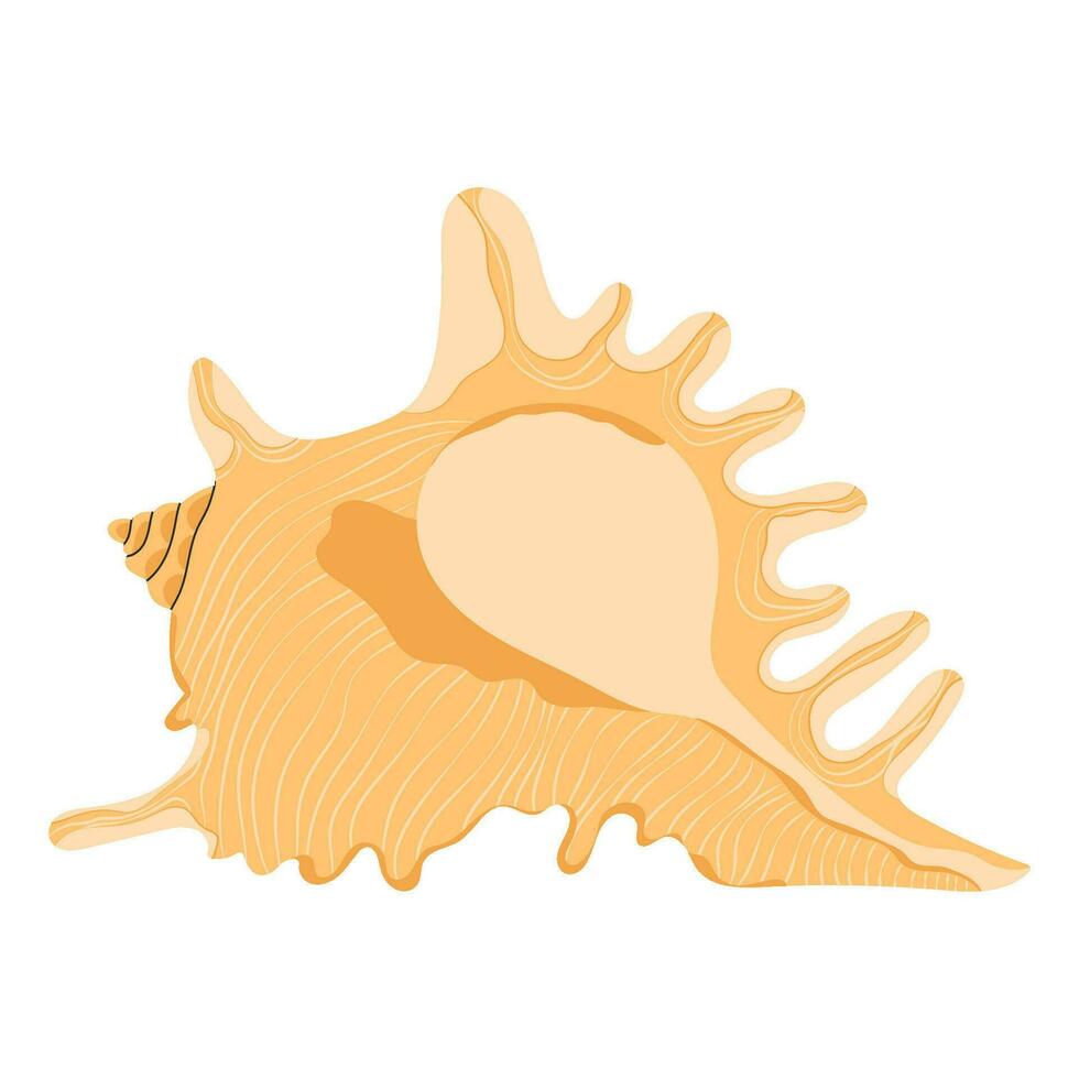 Sea shell, Lambis Scorpius. Marine mollusc with limbs. Spider conch, scorpion seashell. Undersea underwater mollusk. Ocean under water shellfish. Flat vector illustration isolated on white background