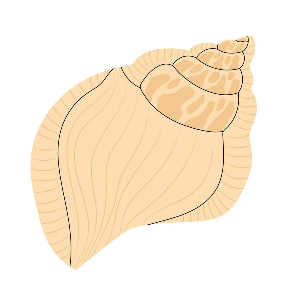 Sea shell with spikes. Spiral twirled seashell. Marine mollusc clam with thorns. Underwater twisted swirled mollusk, shellfish. Flat graphic vector illustration isolated on white background