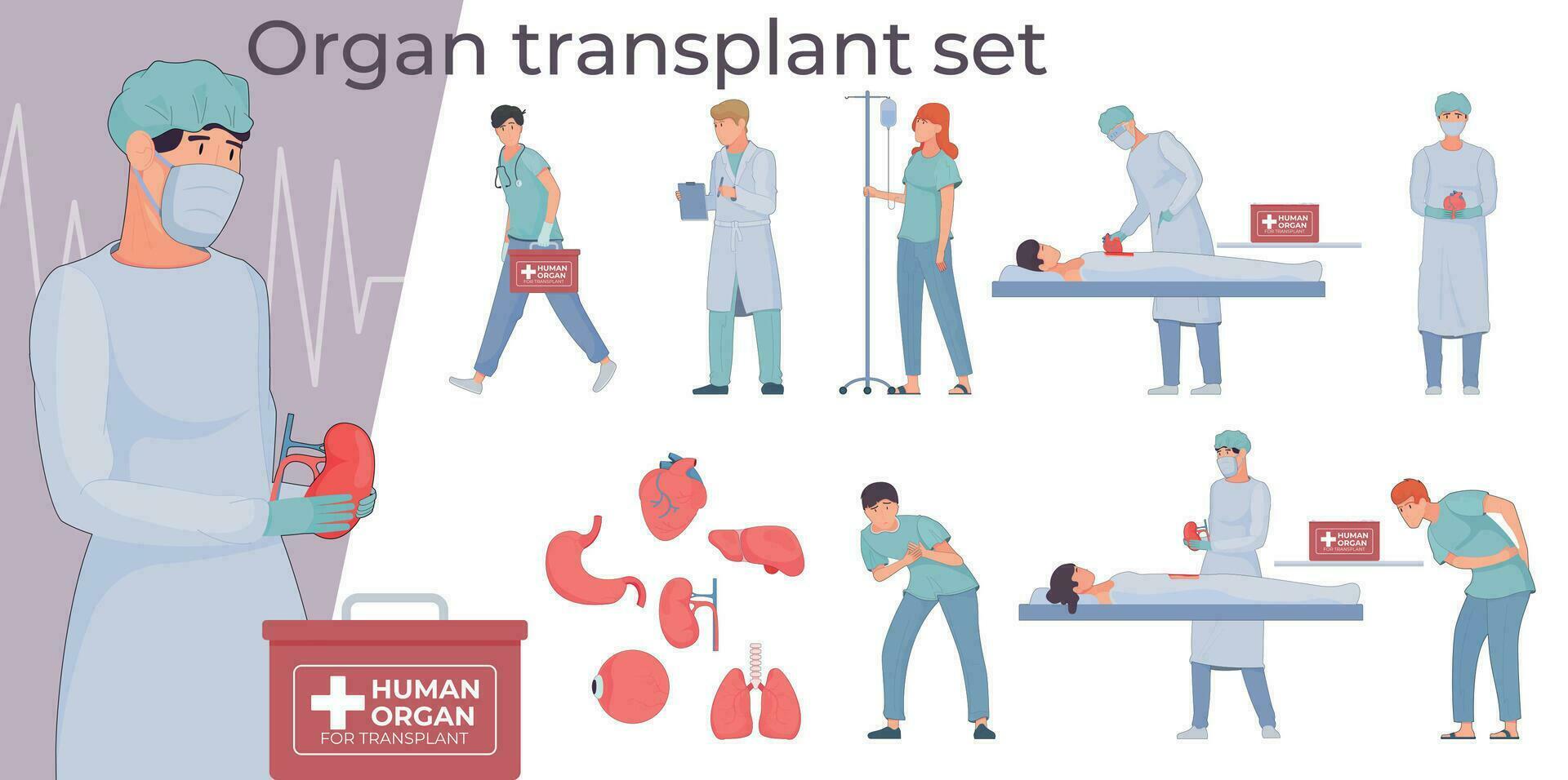 Organ Transplant Flat Set vector
