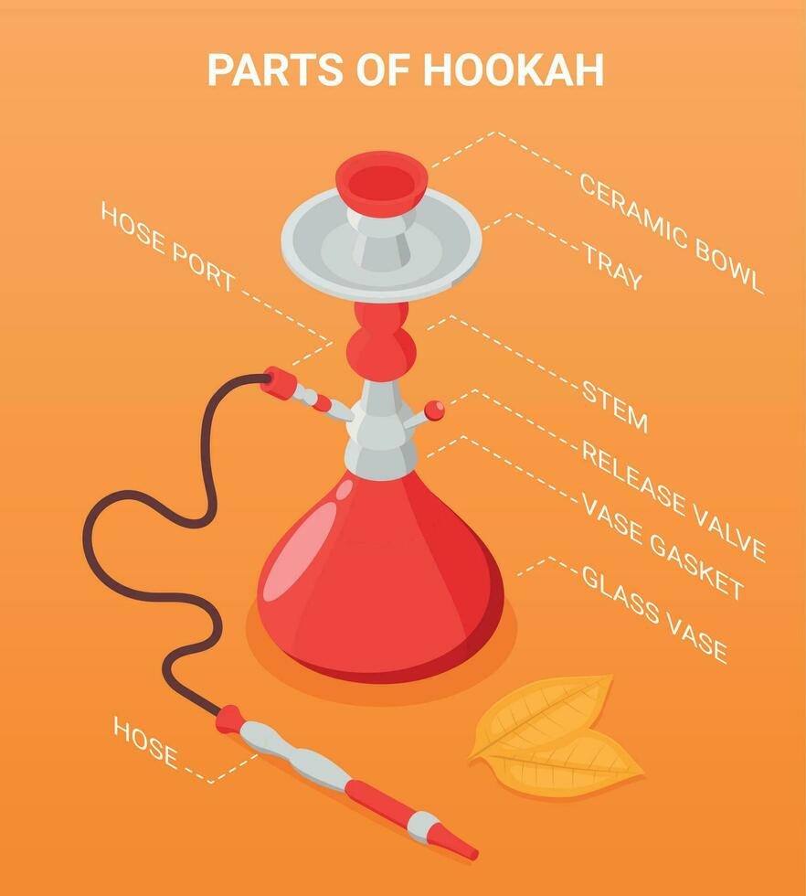 Hookah Parts Isometric Infographics 26321912 Vector Art at Vecteezy