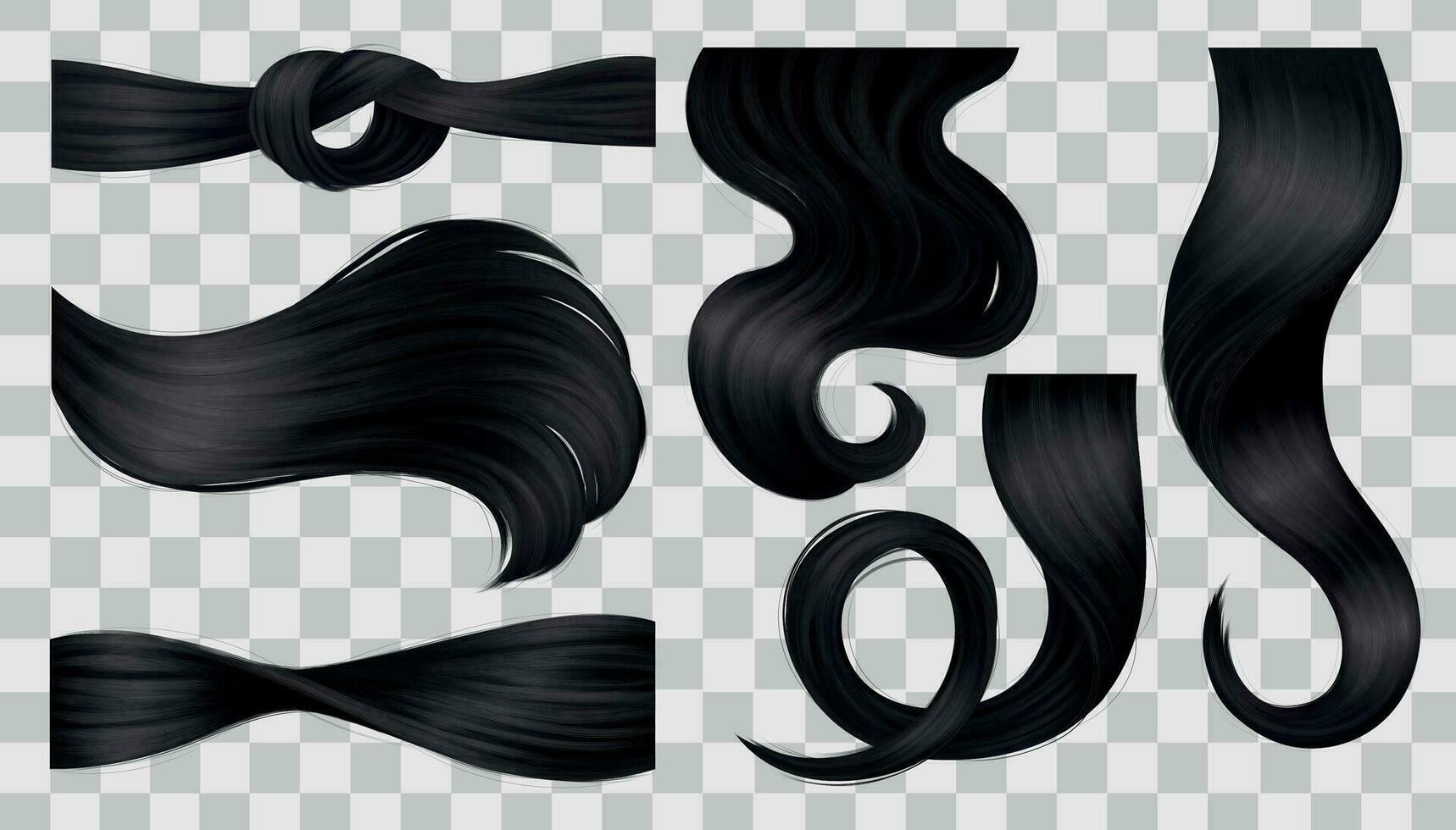 Black Hair Curls Set vector