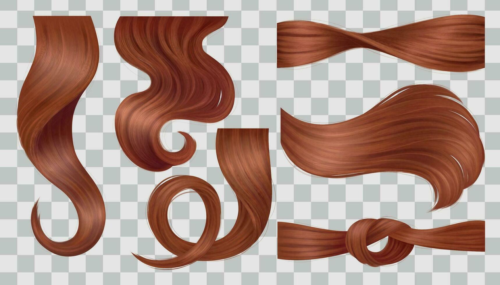 Brown Hair Curls Set vector