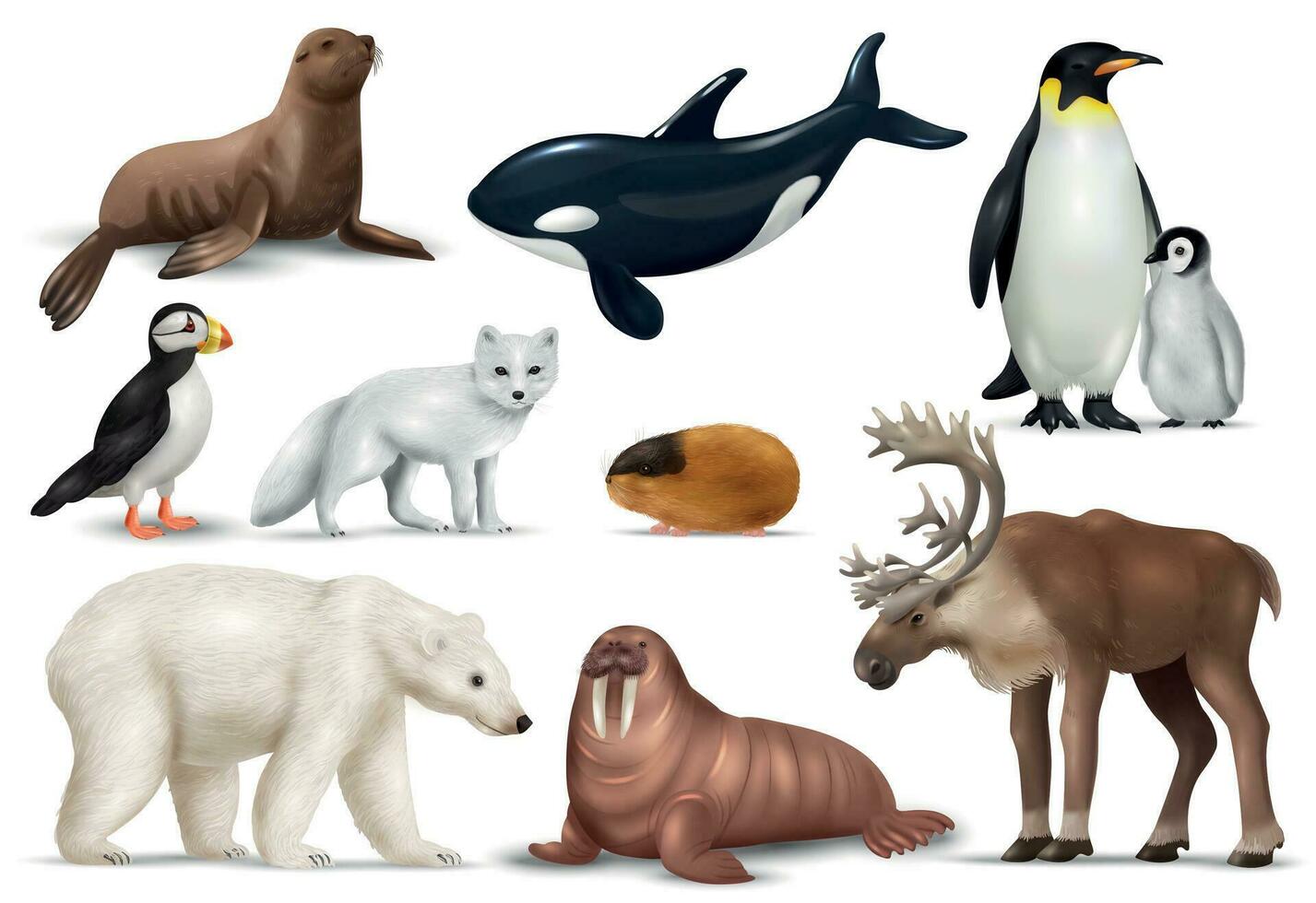 Arctic Animals Set vector
