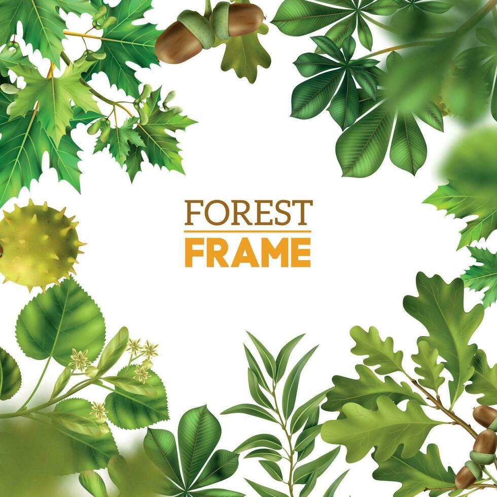 Realistic Tree Branches Frame vector