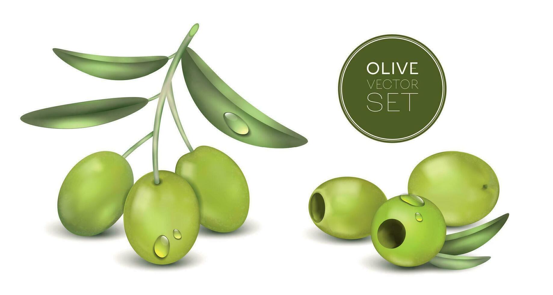 Realistic Olive Vector Set