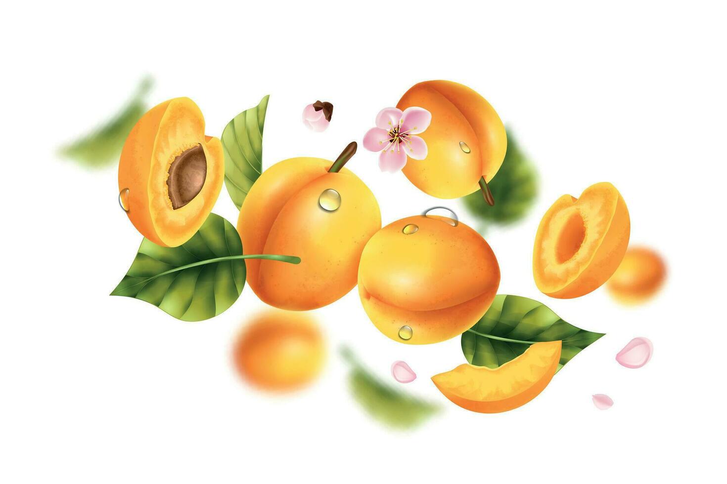 Flying Apricot Realistic Composition vector