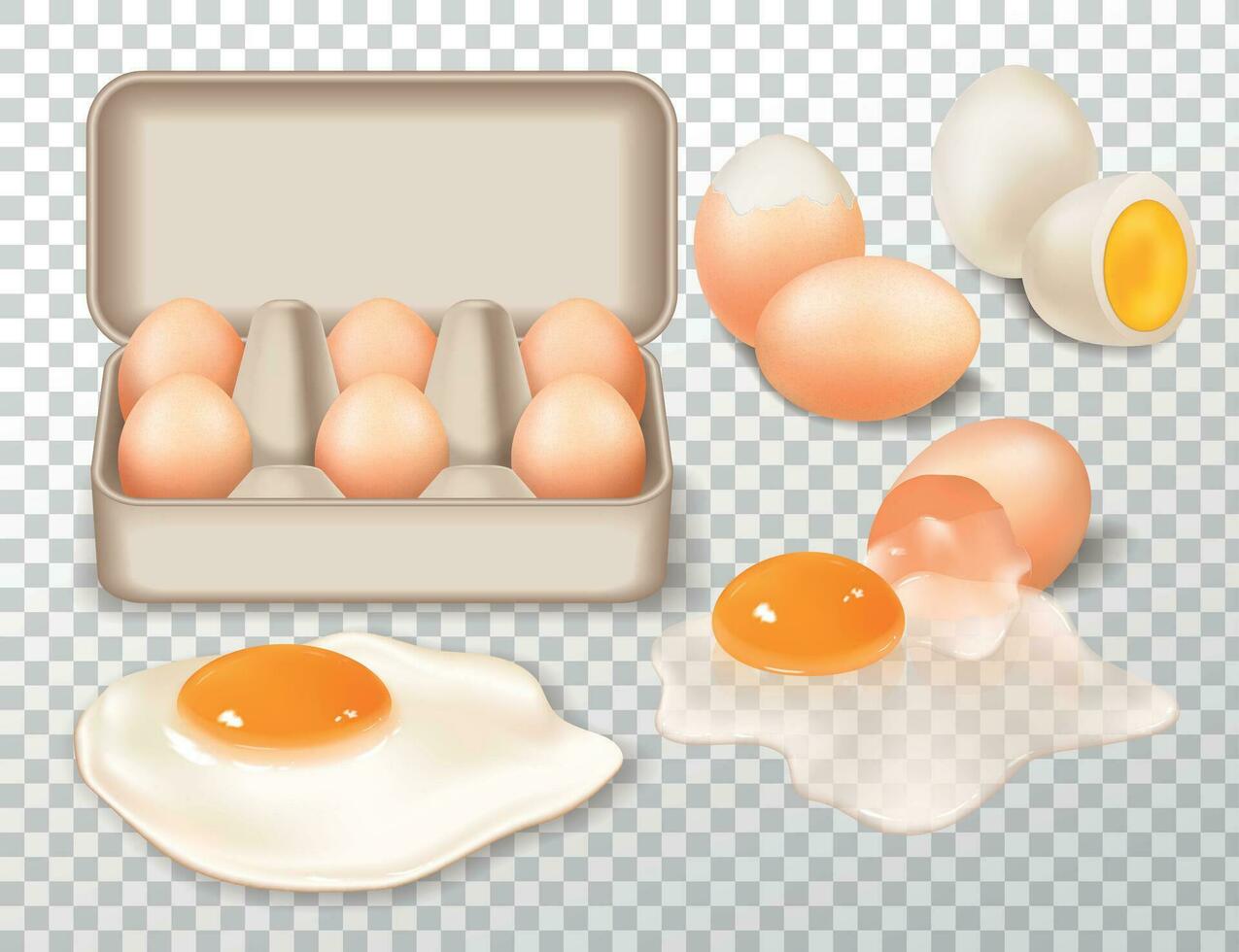 Farm Eggs Transparent Background vector