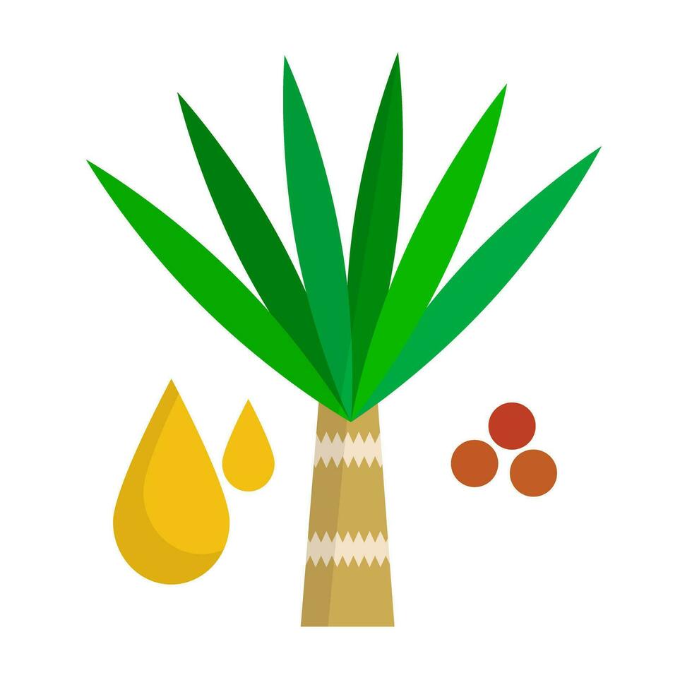 palma petróleo y Elaeis y palma petróleo semilla iconos vector. vector