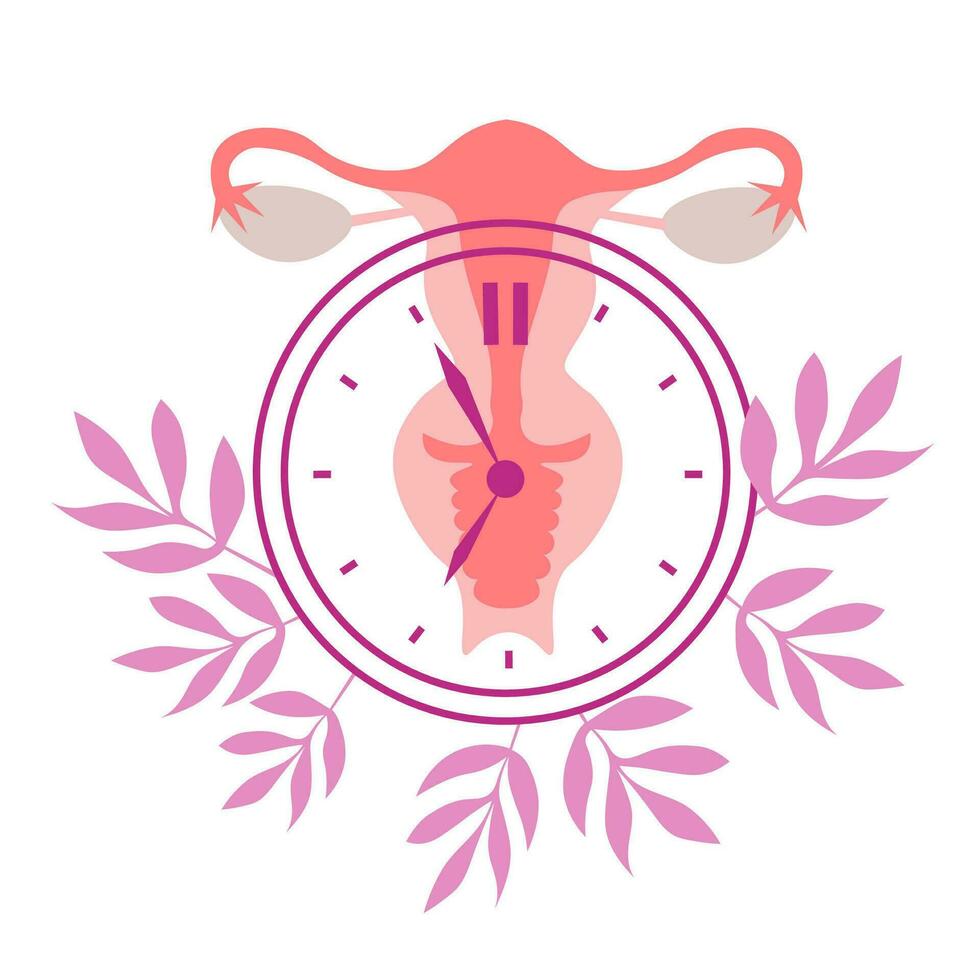 Menopause, women's health care illustration World Menopause Day. The concept of medicine, gynecology Female reproductive system with a clock. Vector flat illustration on isolated background