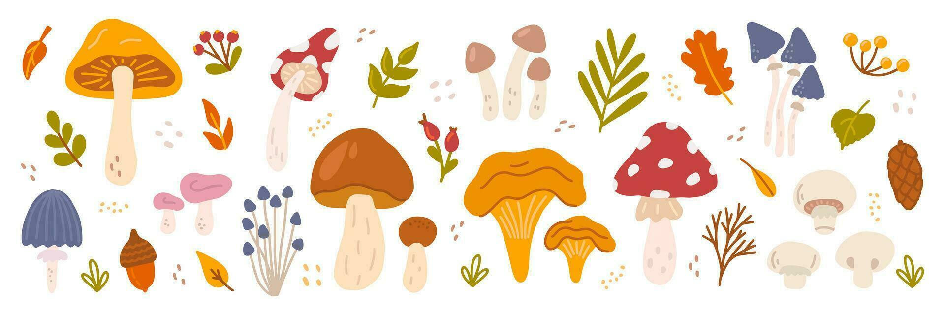 Set of different mushrooms with berries and leaves of trees. Vector flat illustration in hand drawn style