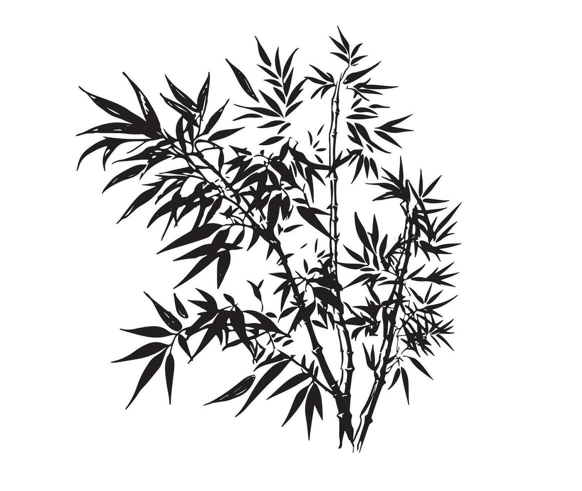 Bamboo tree, Hand drawn style. Vector. vector