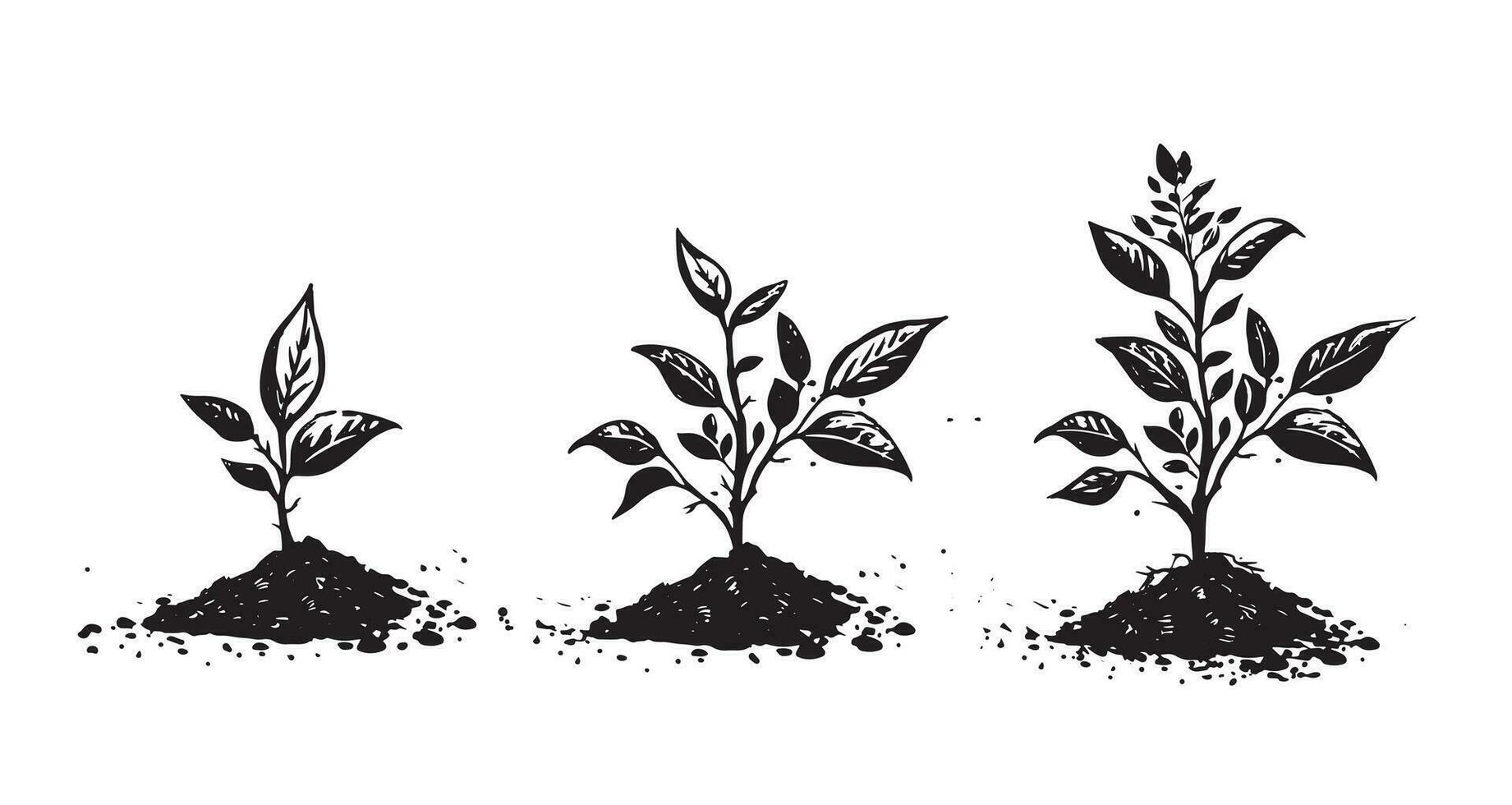 gradual árbol crecimiento en el suelo, mano dibujado ilustraciones, vector. vector