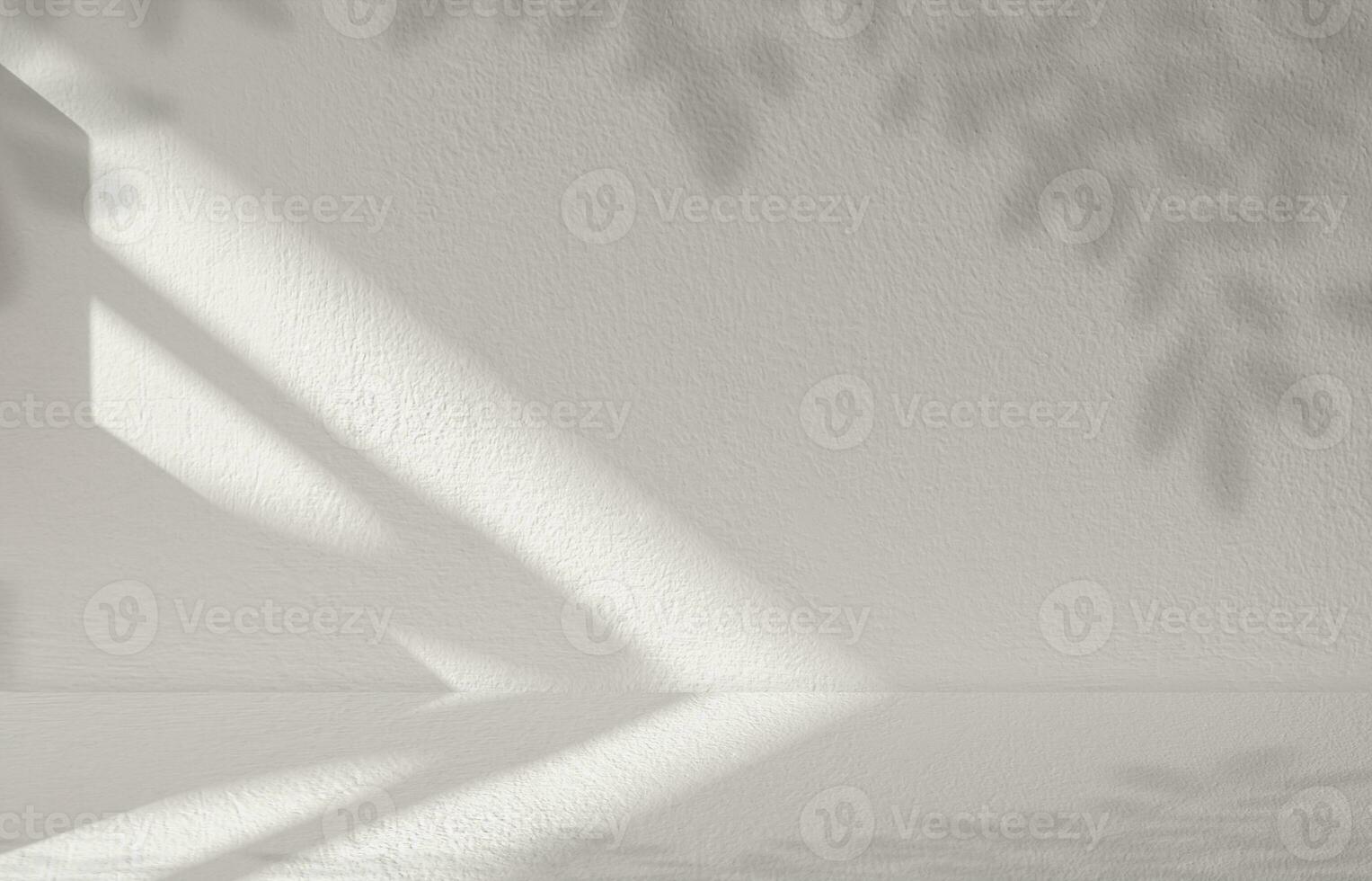 Studio background,Leaves shadow with sunbeam reflection on grey concrete wall background,Empty White Studio Room with abstract light on Cement floor,Backdrop display for product presentation photo