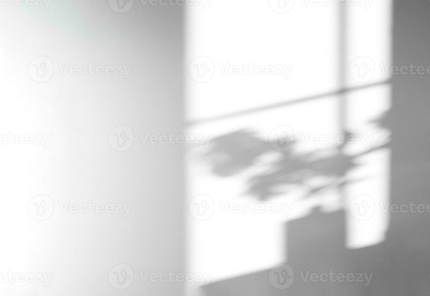 Shadow Flower and leaves silhouette overlay on white cement wall in bed room,Natural sunlight shining through window on concrete texture surface background.Backdrop for product presentation photo