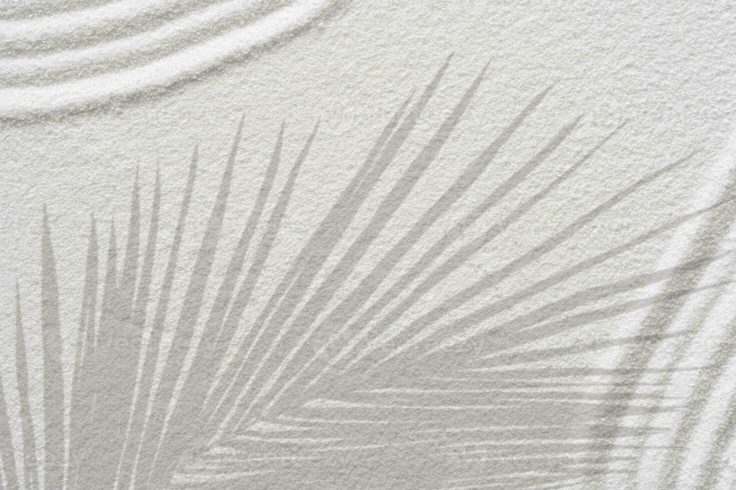 Zen garden white sand with palm leaves shadow on line pattern in Japanese style, Sand texture surface with wave parallel lines,Background Spa Therapy,Purity harmony,Balance,Meditation,Zen like concept photo