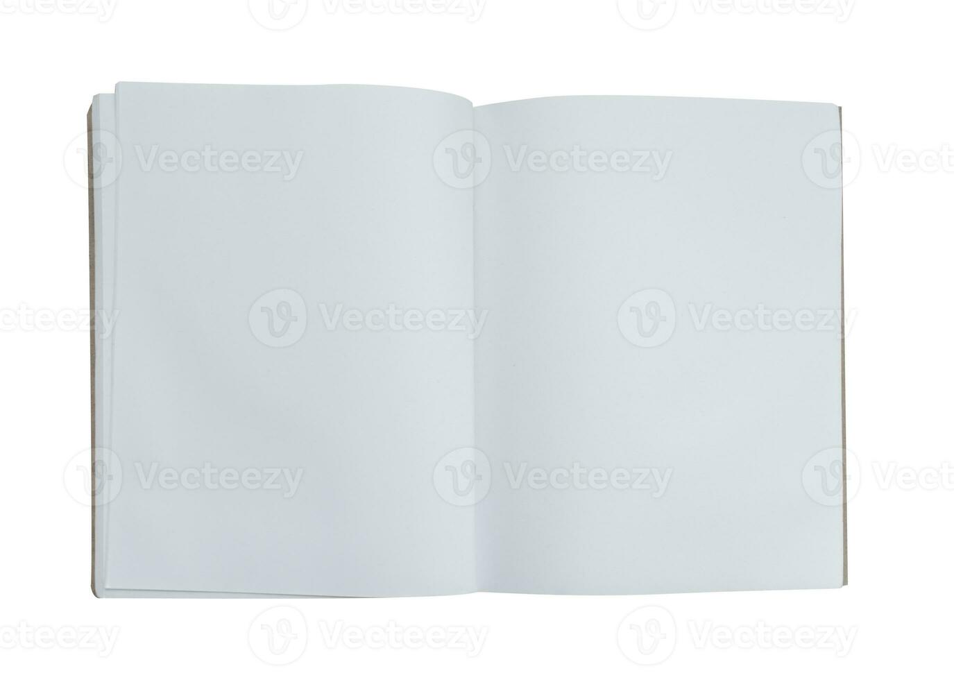 vacío libro en blanco fondo, aislado abierto diario o cuaderno Bosquejo con blanco papel blanco páginas, plano laico blanco catalogar foto