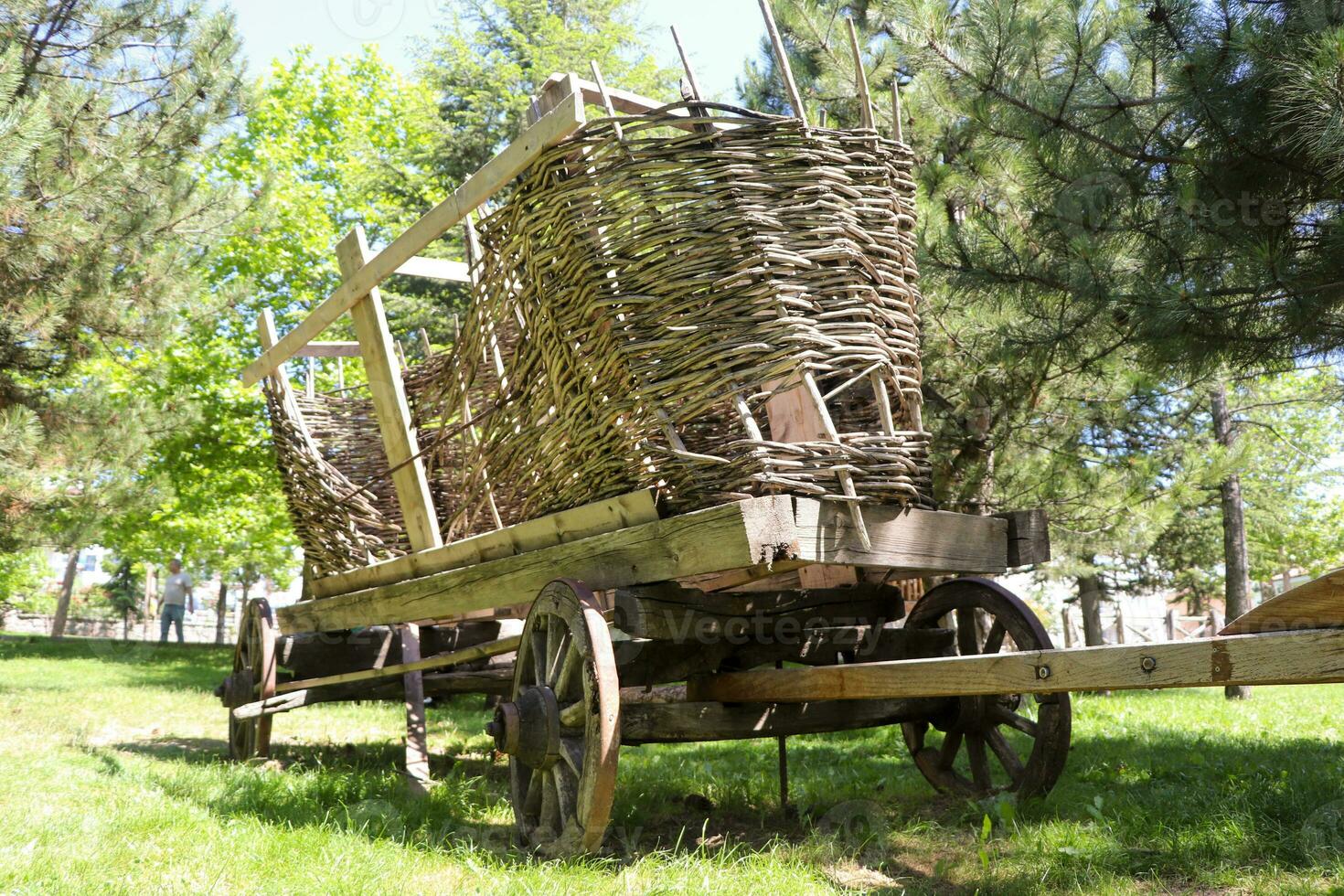 An old wooden cart with large wheels in the farm with forest background photo