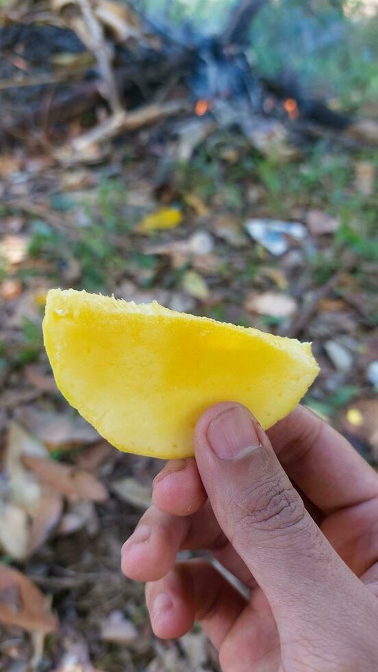 a ripe mango is held by a man photo
