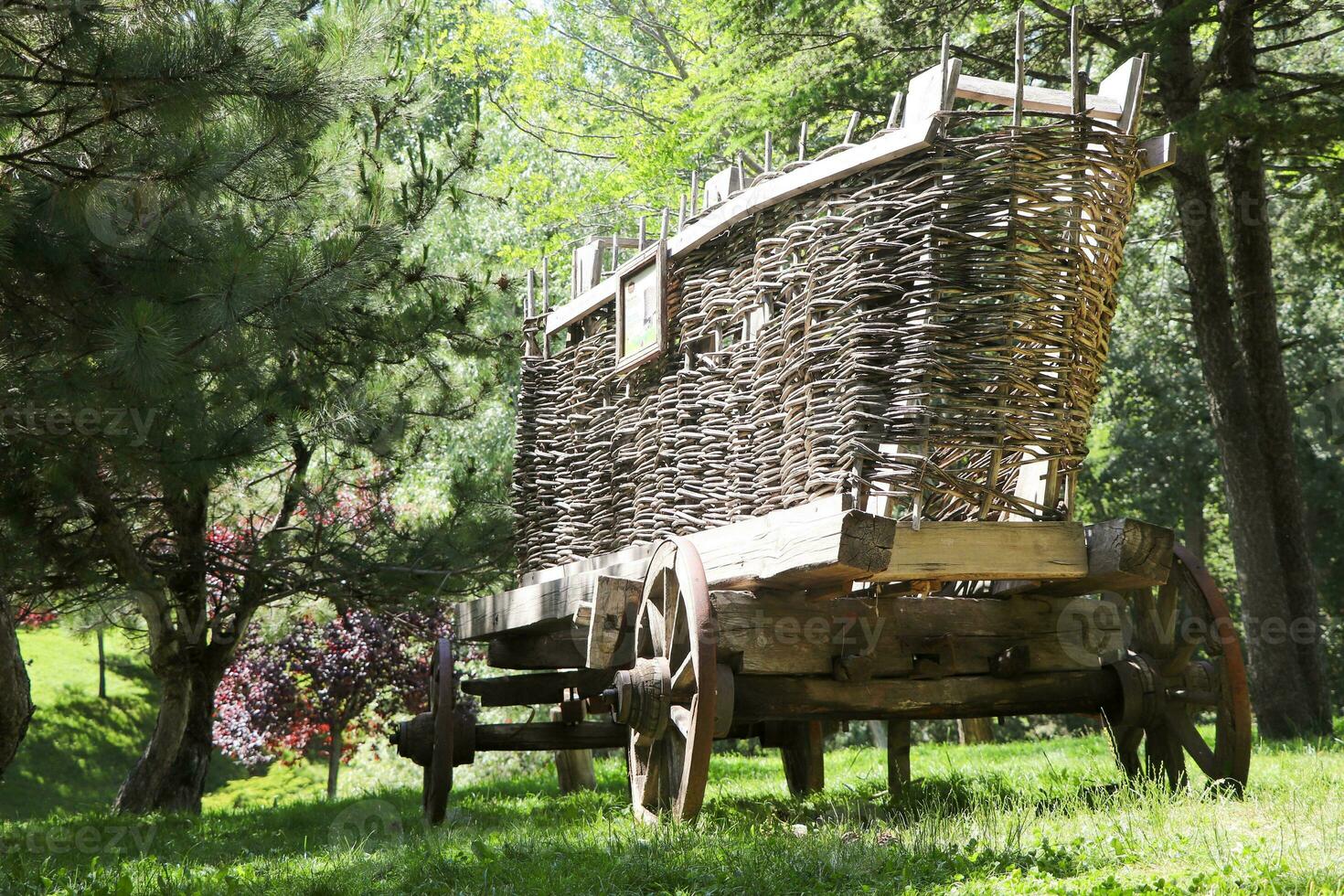 An old wooden cart with large wheels in the farm with forest background photo