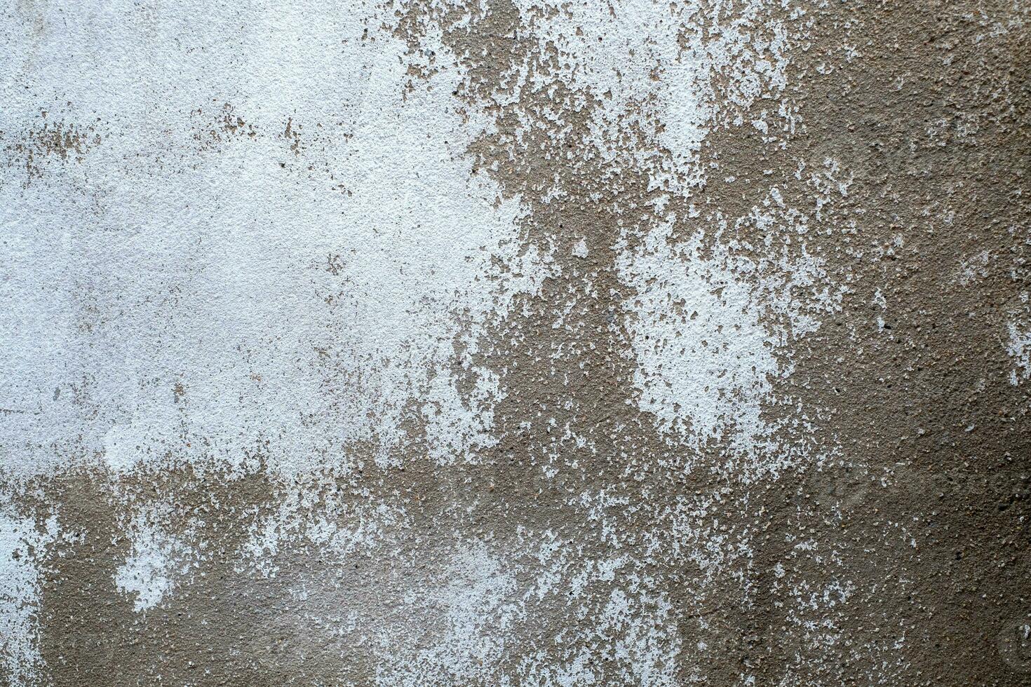 hermosa blanco gris resumen grunge decorativo estuco pared fondo gris